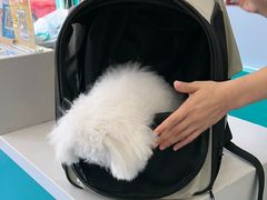 -博特宠物医院24h犬猫全科.骨科·异宠
