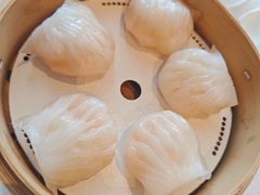 -金苑海鲜酒家(来魅力店)