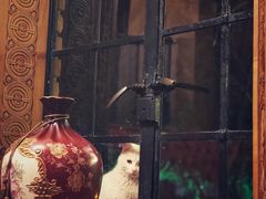 -马勒别墅·中餐厅