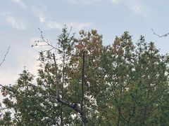 -西湖-风味菜馆