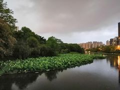 -金山公园