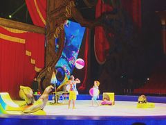 -珠海横琴长隆《卡卡虎奇遇记》