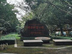 -海口火山口国家地质公园