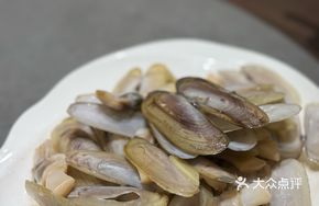 Knife Clam