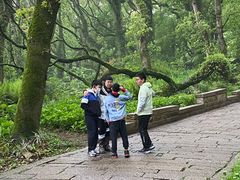 -普陀山风景区-佛顶山