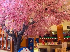 -大江户·温泉洗浴(浑南店)