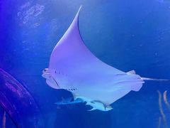 -沈阳海洋探索中心