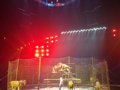 -珠海横琴长隆《卡卡虎奇遇记》