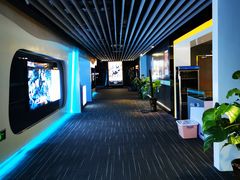 -奥斯卡升龙国际影城(RealD Cinema)