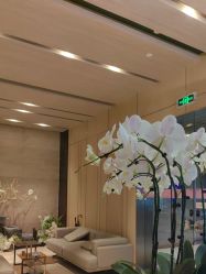 -恒美雅轩·品牌直营连锁