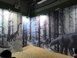 -恐龙探索乐园(磁器口店)
