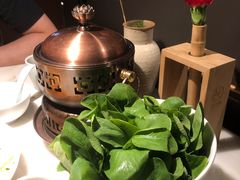 水煮鸡毛菜-初蓉丨遇见新川菜(亲贤街荣耀店)