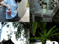 -萃茶师(琅西店)