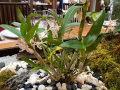 -南堂馆·新川菜(天府三街店)