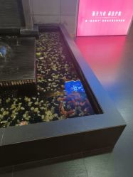 -苏亚医美·高端注射明星整形机构