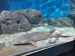 -福州罗源湾海洋世界旅游区