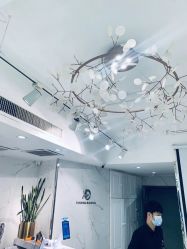 -潘多拉Hairsalon