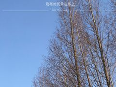 -三垟湿地