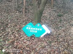 -雨花胜境