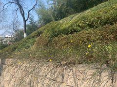 -菊花台公园