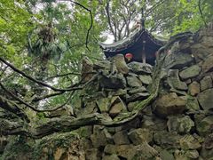 -绮园景区