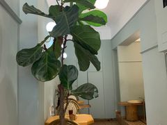 -铁手珈琲制造局metalhands(望京店)