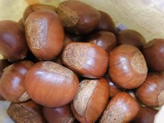 -粒上皇(崇文门店)