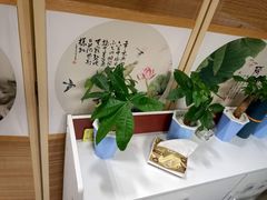 -脊正康推拿整脊馆