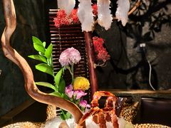 -蟹犇前•帝王蟹雪蟹(陆家嘴店)