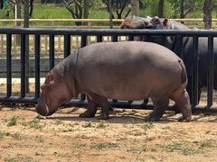 -鄂尔多斯野生动物园