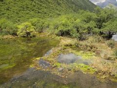 -黄龙山原始森林景区