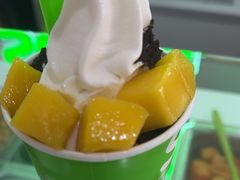 -Salud撒露欧洲冻酸奶(五道口购物中心店)