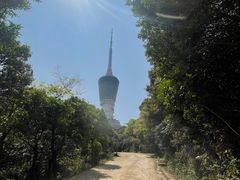 -梧桐山风景名胜区