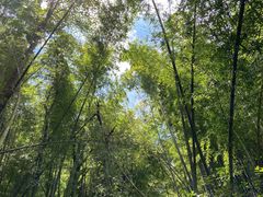 -会稽山峡洞漂流-上青古道