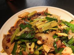 -向川南·水煮鱼·川菜(和平里店)