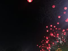 -大雁塔北广场音乐喷泉