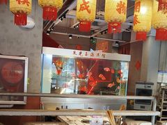 -朱光玉火锅馆(正弘城店)