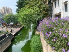 -荔湾湖公园