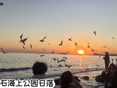 -老虎石海上公园