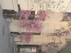 -桃花印巷江南小馆(朝阳路店)