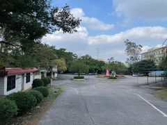 -南宁良凤江国家森林公园