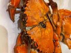 -湛江民大喜来登酒店-采悦轩中餐厅