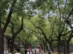 -北京国子监胡同