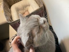 -小时光咖啡馆(北锣鼓巷店)