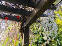 -白马涧龙池景区