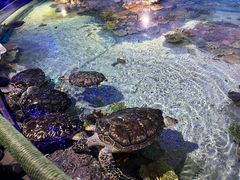 -福州罗源湾海洋世界旅游区