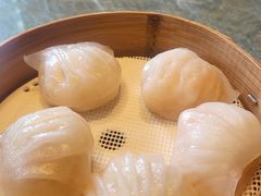-金悦轩海鲜城(渔人码头店)