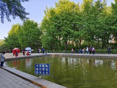 -玲珑塔公园