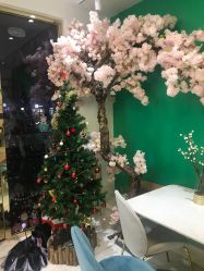 点击看大图 -S庆熙美学皮肤管理