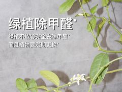 -科立恩进口除甲醛甲醛检测